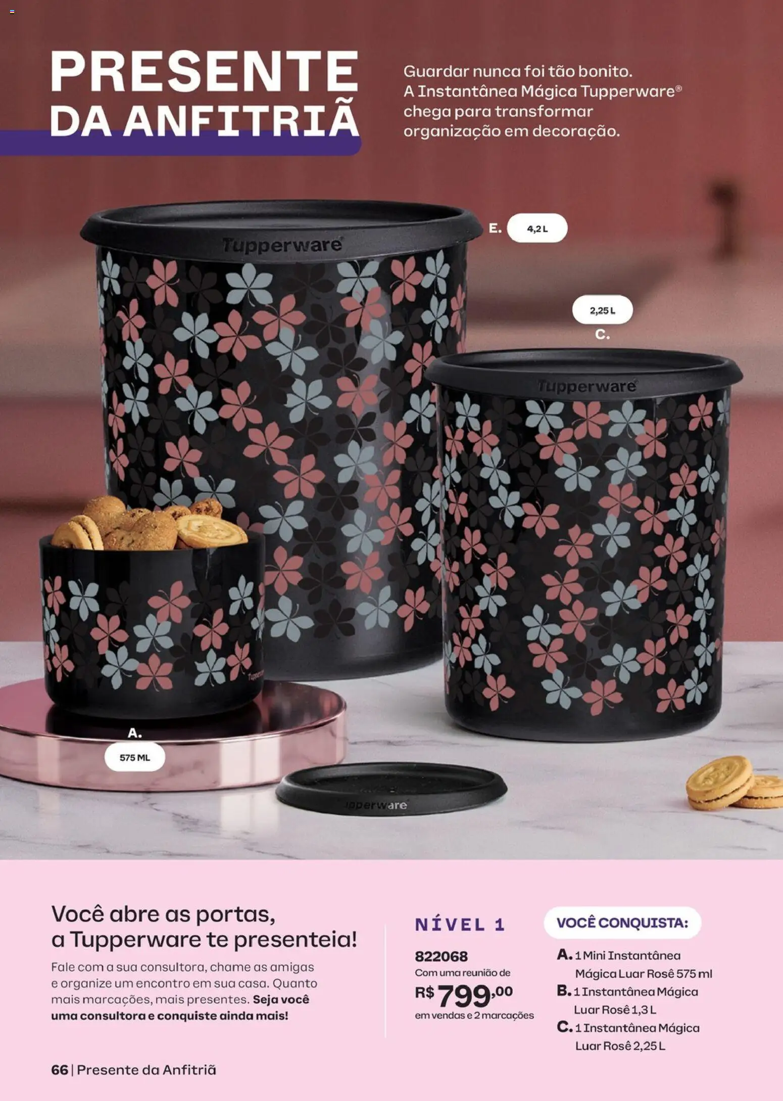 Tupperware Folheto - válido de 01/11/2026 | Página: 66