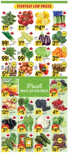 Preview of Adonis weekly flyer from shop Adonis valid from Sep 3, 2026 | Page: 2