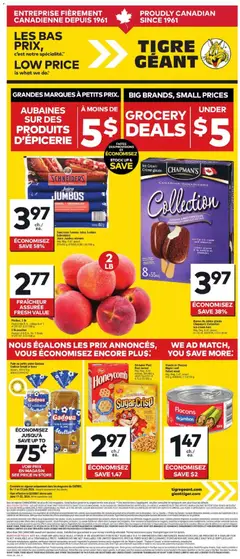 Preview of Giant Tiger weekly flyer / circulaire from shop Giant Tiger valid from Jun 17, 2026