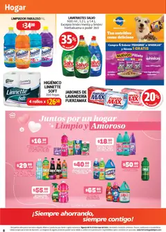 Vista previa de Farmacia Guadalajara catálogo, nuevo folleto de la tienda, válido en México a partir del 15.05.2026 | Página: 8 | Productos: Quitamanchas, Vinagre, Limpiador, Algodón