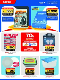 Vista previa Carrefour Maxi catálogo válido desde el 13.06.2026 | Página: 8