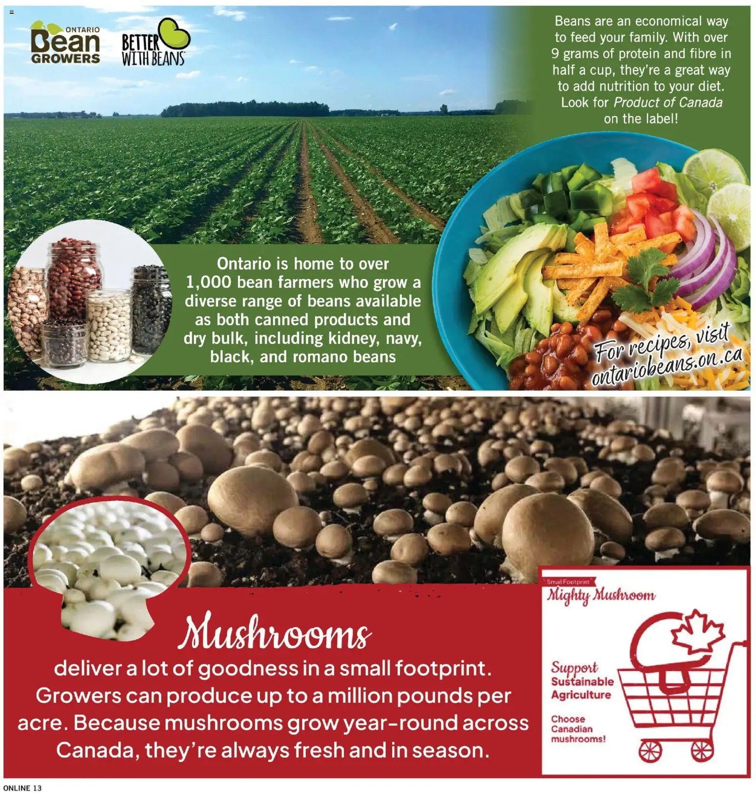 Fortinos flyer valid from Aug 6, 2026 | Page: 13