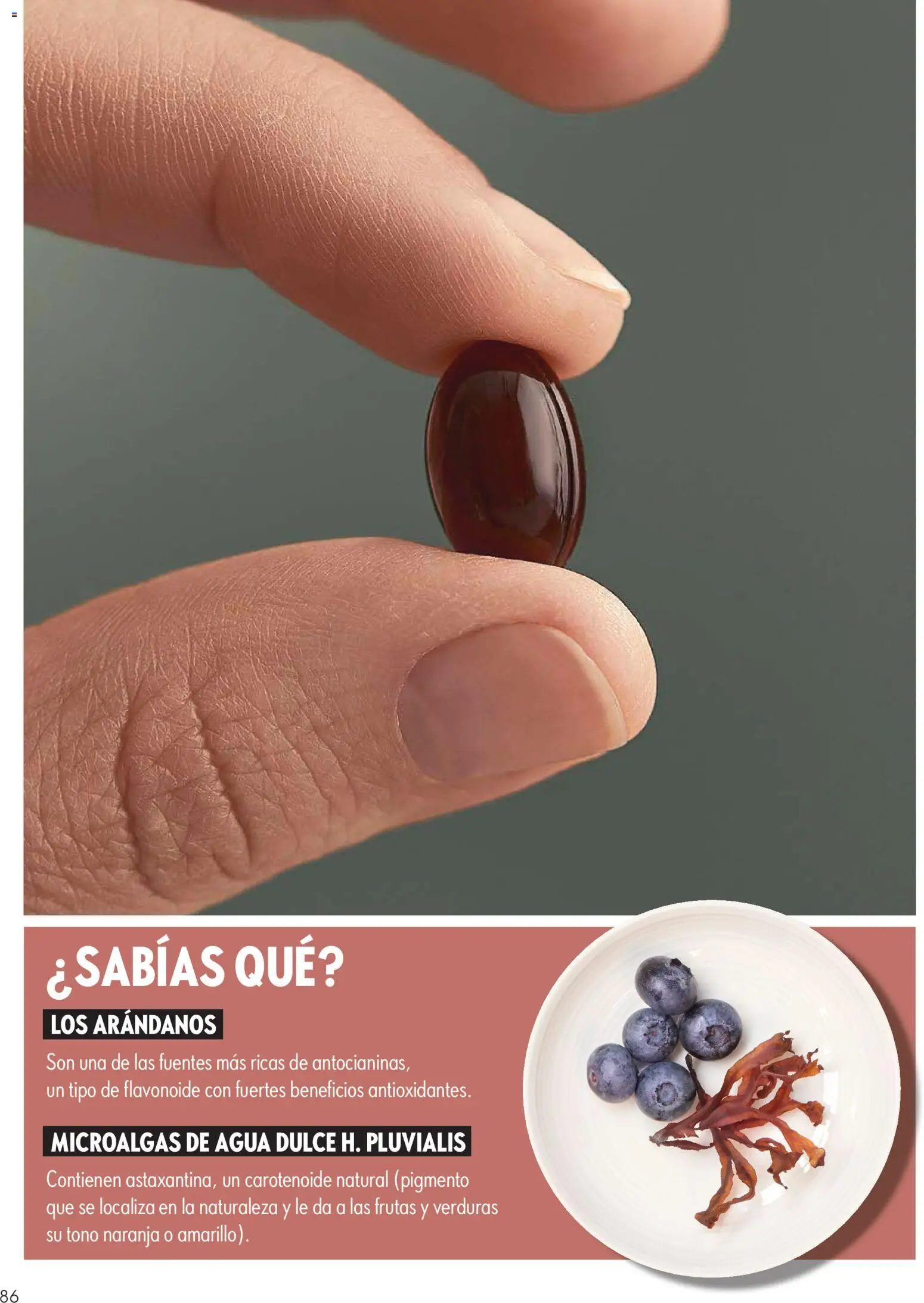 Oriflame revista - valida desde el 12/09/2026 | Página: 86