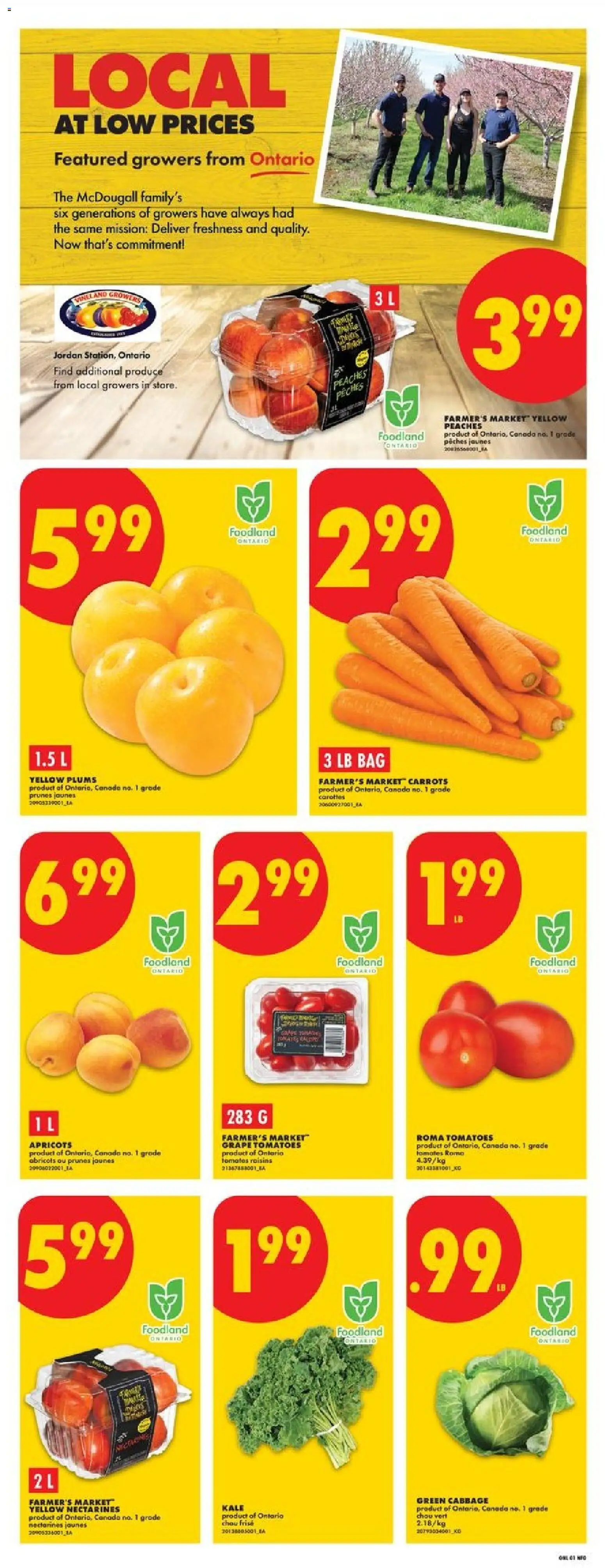 No Frills flyer valid from Jul 30, 2026 | Page: 3 | Products: Bag, Tomatoes