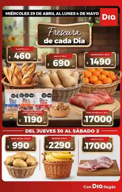 Vista previa Supermercado DIA Ofertas válido desde el 29.04.2026 | Página: 5