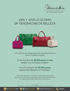 Vista previa de Palacio De Hierro catálogo Festival de belleza, nuevo folleto de la tienda, válido en México a partir del 01.06.2026 | Página: 3 | Productos: Maleta, Neceser, Té