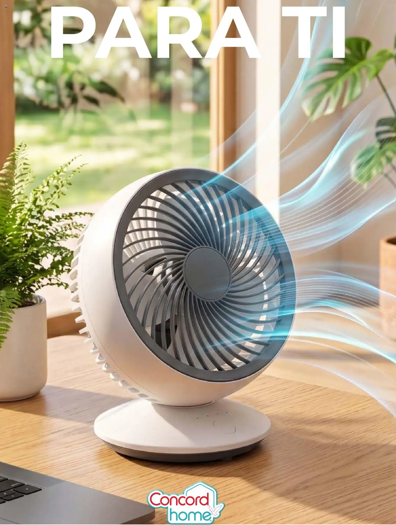 Nuevas ofertas de Colchas Concord válidas en toda la República Mexicana desde el 01/07/2026. ¡Encuentra las mejores ofertas en Colchas Concord catálogo Home! | Página: 13