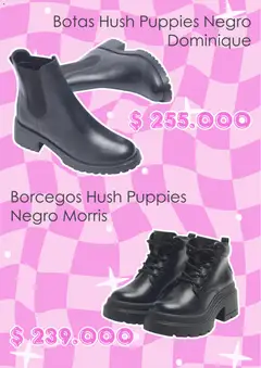 Vista previa Grimoldi catálogo válido desde el 02.06.2026 | Página: 2 | Productos: Borcegos, Botas
