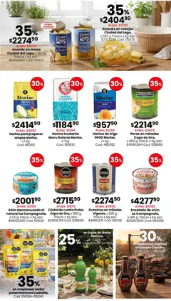 Vista previa Coto - Almacén y bebidas válido desde el 01.06.2026 | Página: 2