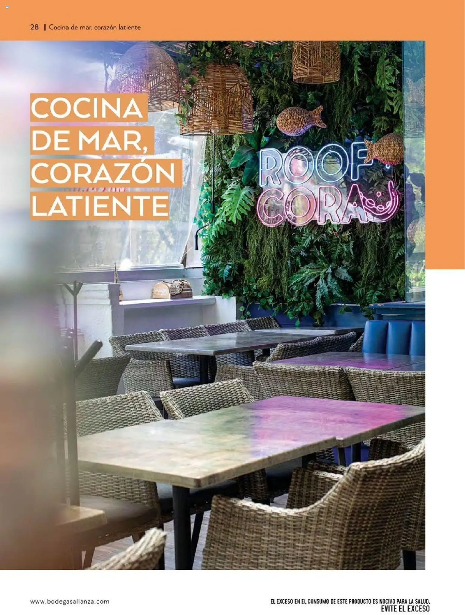 Nuevas ofertas de Bodegas Alianza válidas en toda la República Mexicana desde el 01.04.2026. ¡Encuentra las mejores ofertas en Bodegas Alianza catálogo! | Página: 30 | Productos: Cocina