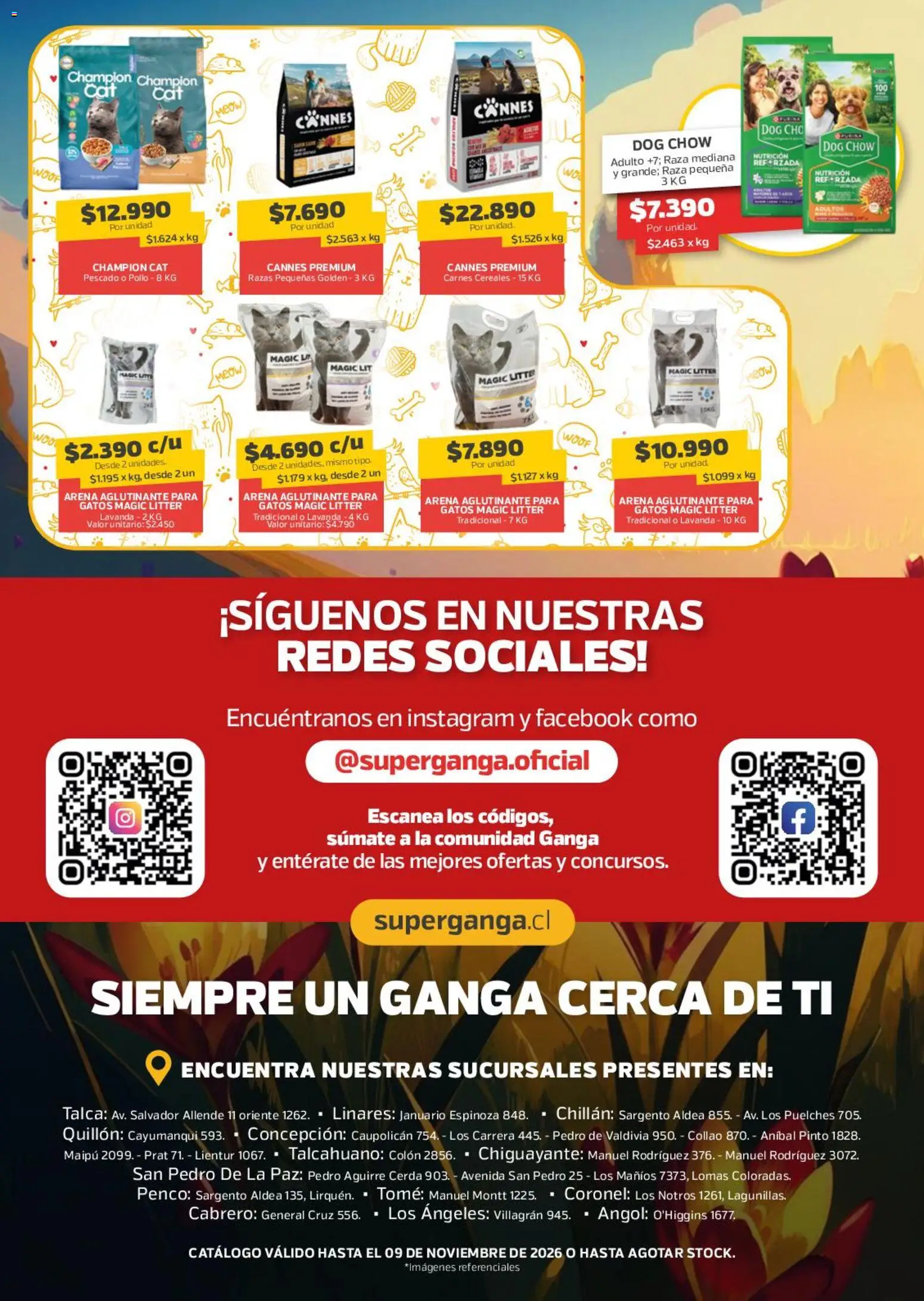 Super Ganga Ofertas │ válido desde el 09.10.2026 | Página: 8