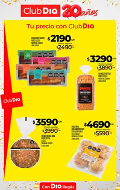 Vista previa Supermercado DIA Ofertas válido desde el 09/09/2026 | Página: 22 | Productos: Papa, Budín, Pan proteico, Queso