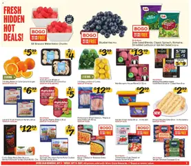 Preview of Winn Dixie weekly ads valid from 09/09/2026 | Page: 9