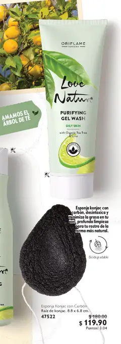 Vista previa de Oriflame campaña 7 2026, nuevo folleto de la tienda, válido en México a partir del 09.05.2026 | Página: 235 | Productos: Esponja, Té