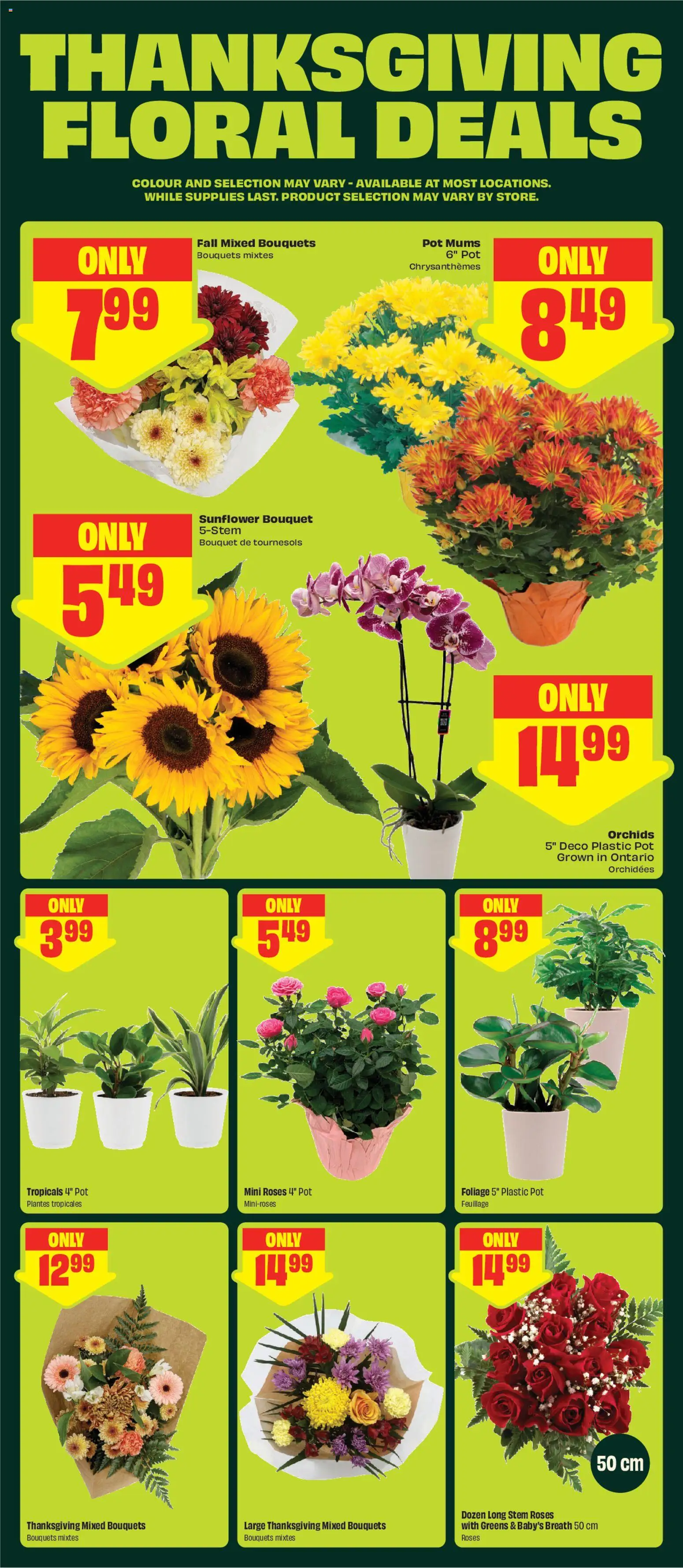 FreshCo flyer valid from Oct 8, 2026 | Page: 6