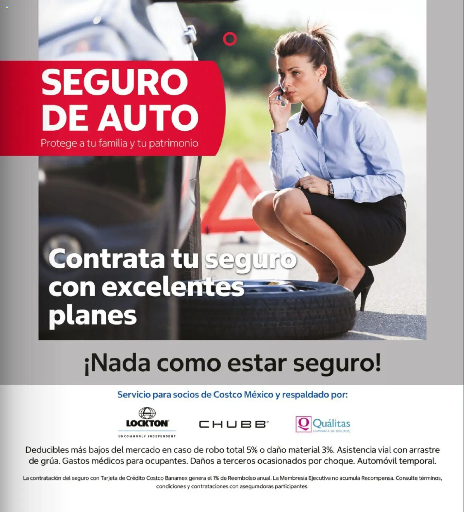 Nuevas ofertas de Costco válidas en toda la República Mexicana desde el 26/10/2026. ¡Encuentra las mejores ofertas en Costco catálogo Teasure Hunt! | Página: 3