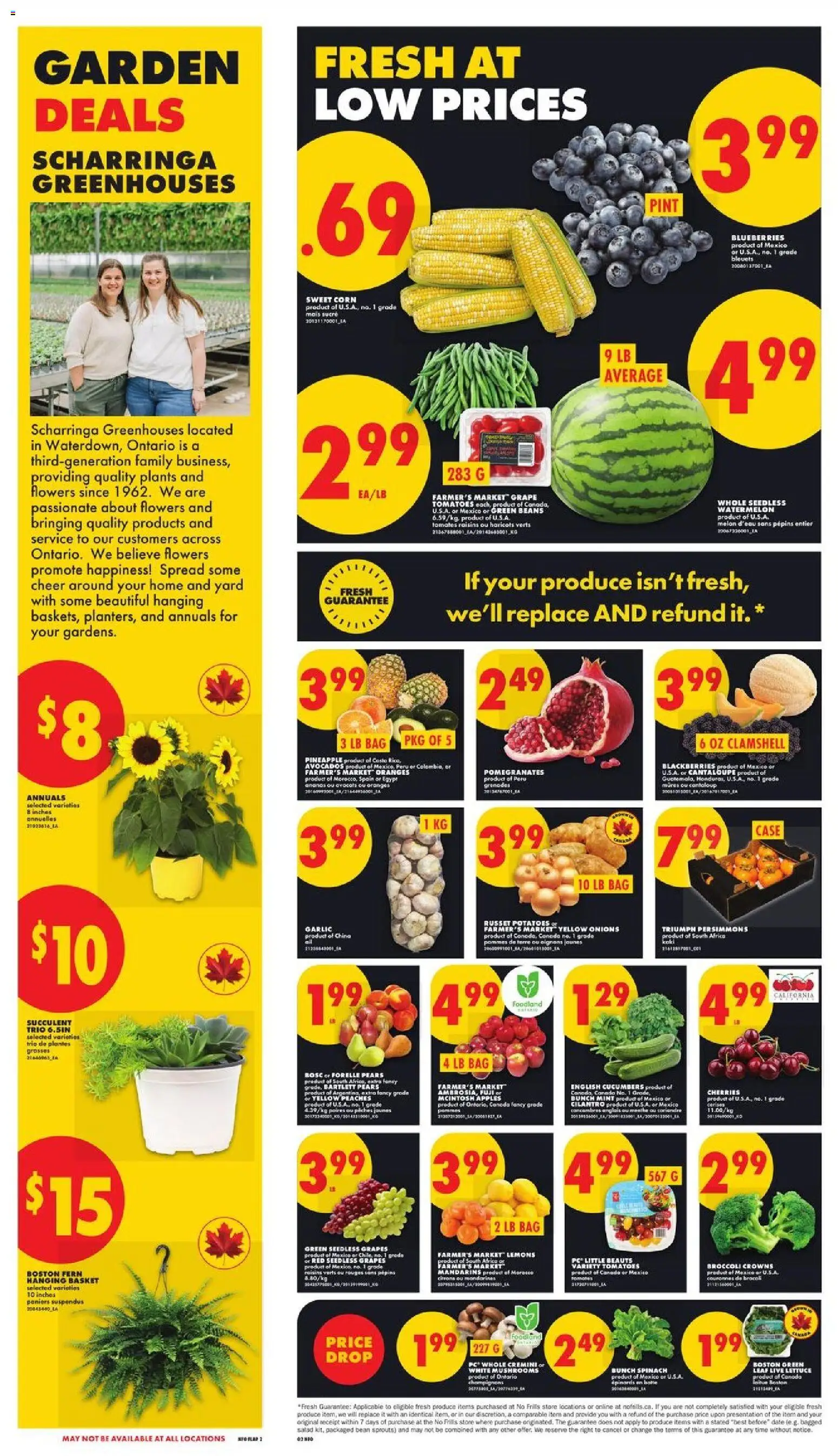 No Frills flyer valid from 28.05.2026 | Page: 2 | Products: Pineapple, Salad, Case, Tomatoes