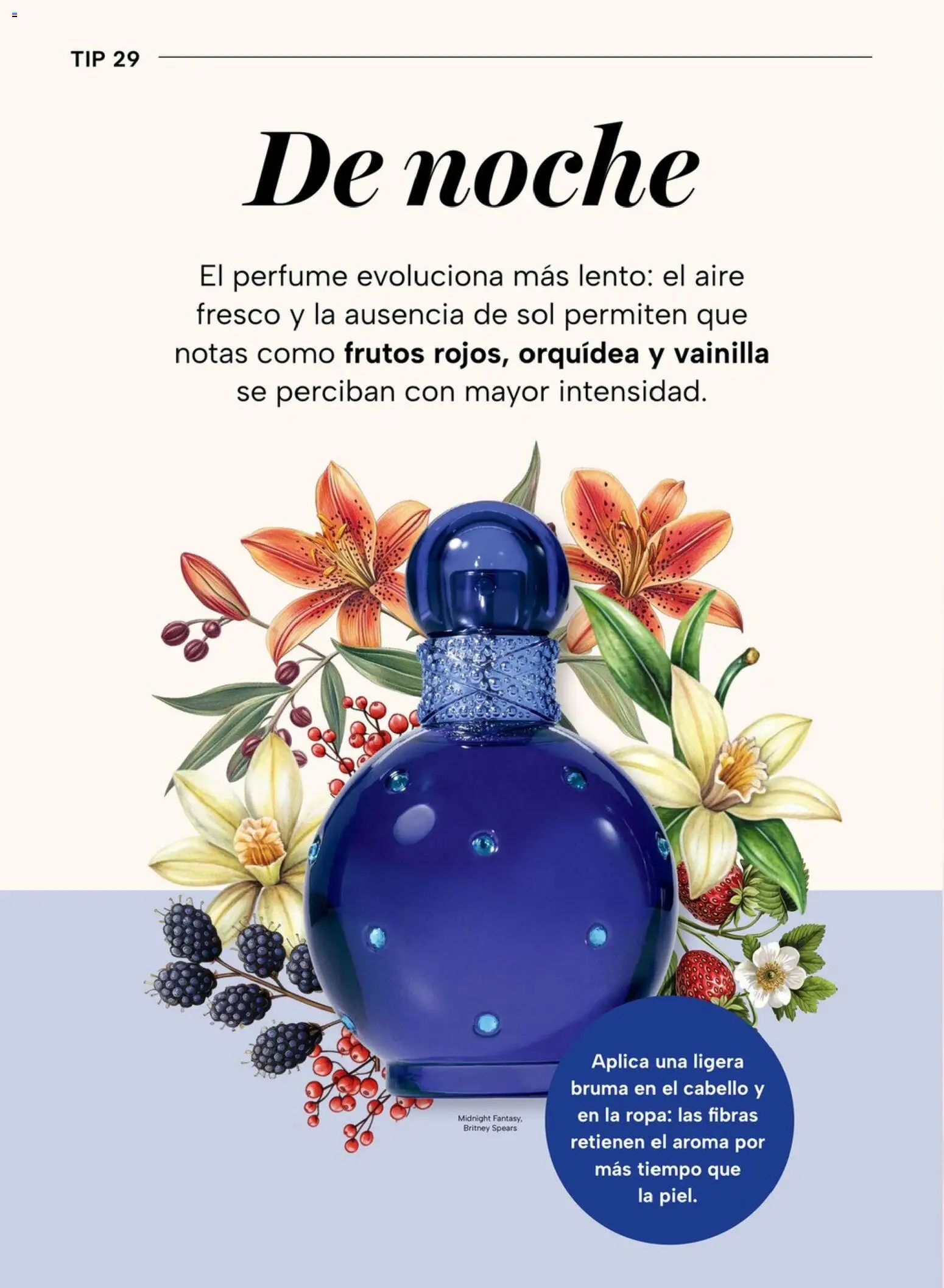Nuevas ofertas de Chedraui válidas en toda la República Mexicana desde el 04.05.2026. ¡Encuentra las mejores ofertas en Chedraui folleto! | Página: 62 | Productos: Bruma, Ropa, Perfume