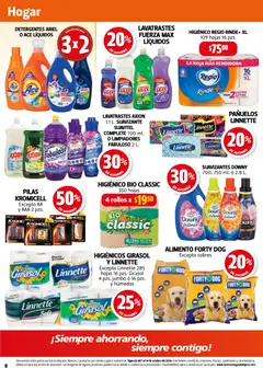 Vista previa de Farmacia Guadalajara catálogo, nuevo folleto de la tienda, válido en México a partir del 01/10/2026 | Página: 8 | Productos: Suavizante, Cloro, Sobre, Pilas