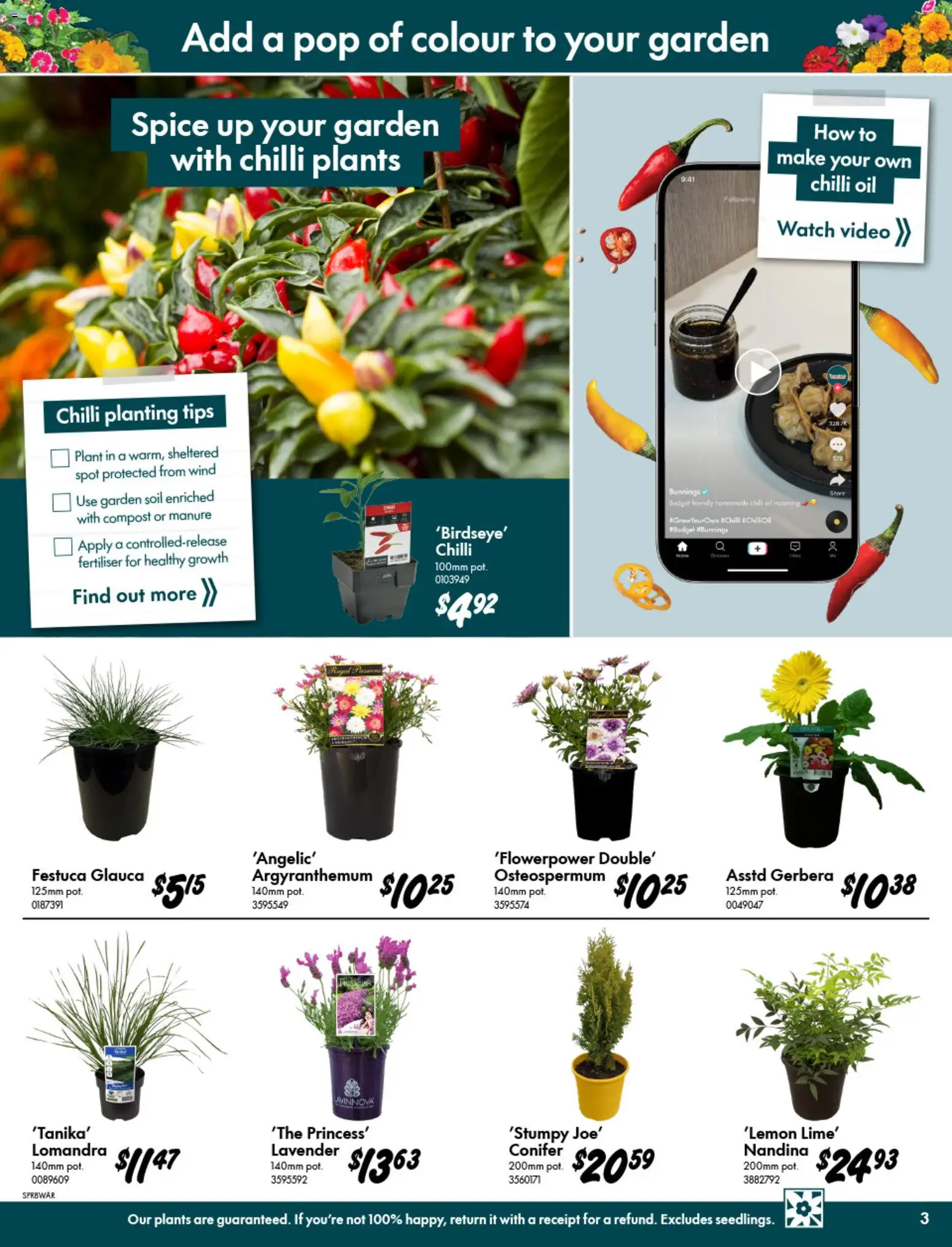 Bunnings Warehouse catalogue - valid from 09/09/2026 | Page: 3 | Products: Oil, Soil, Chili, Video