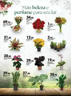 Zaffari ofertas Bazar Outubro - Pré-Visualização do folheto da loja Zaffari, válido de 01/10/2026 | Página: 15
