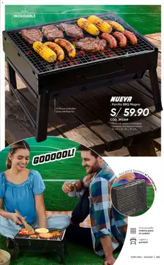 Vista previa de folleto Azzorti catálogo - Campaña 10 de la Azzorti válido desde 22/06/2026 | Página: 209 | Productos: Rejilla, Parrilla