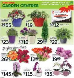 Preview of Fortinos weekly flyer / circulaire from shop Fortinos valid from 30.04.2026 | Page: 26 | Products: Tea, Basket