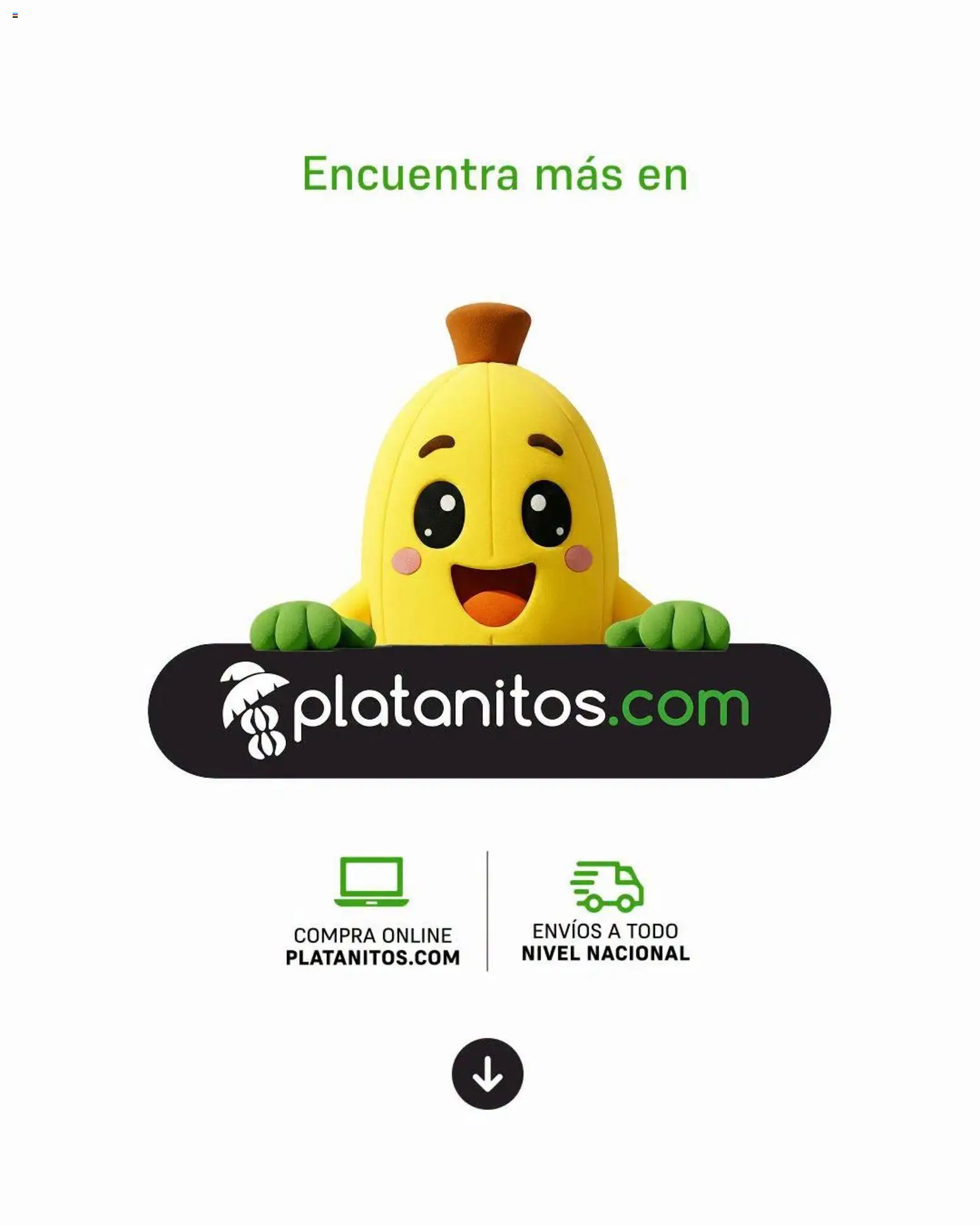Catálogo Platanitos válido desde 03/08/2026 | Página: 6