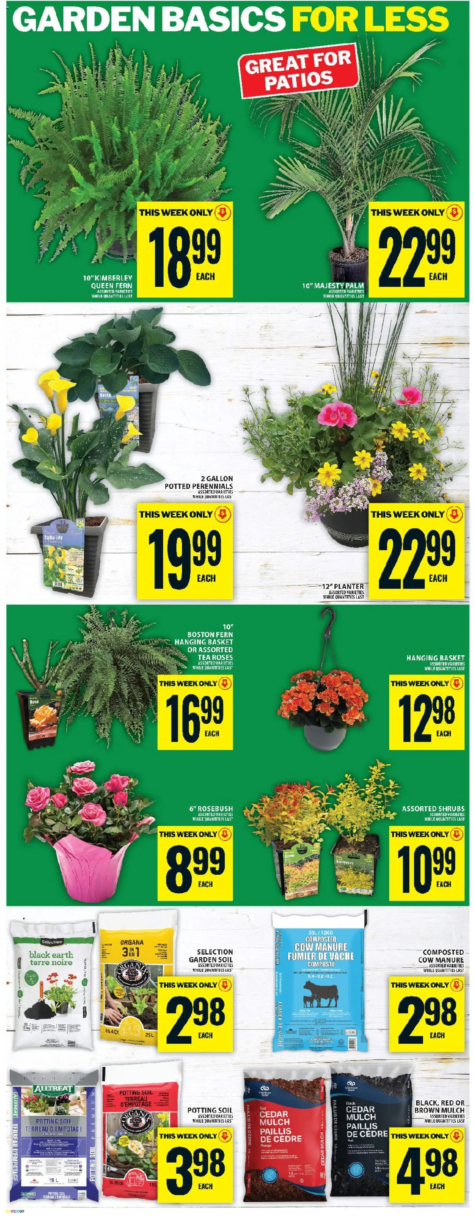 Food Basics flyer valid from 28.05.2026 | Page: 17 | Products: Tea, Basket