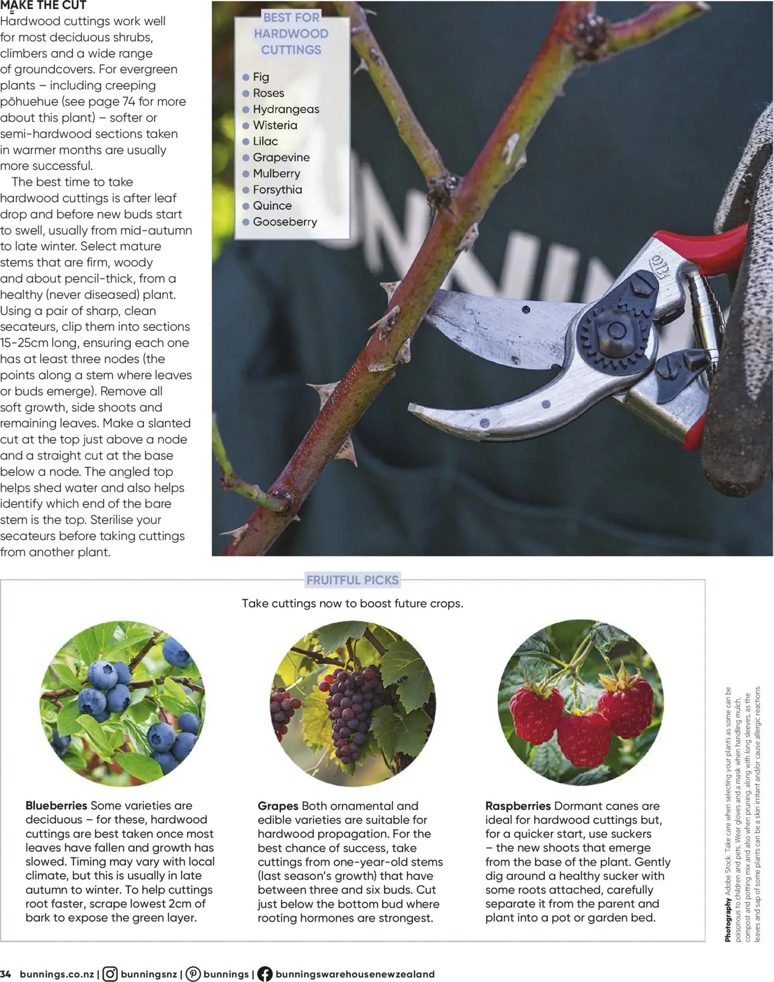 Bunnings Warehouse catalogue from 01.06.2026 | Page: 34