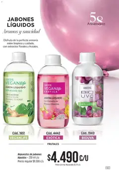 Vista previa Amodil - Campaña 10 válido desde el 01/06/2026 | Página: 163 | Productos: Jabón líquido, Jabón, Té