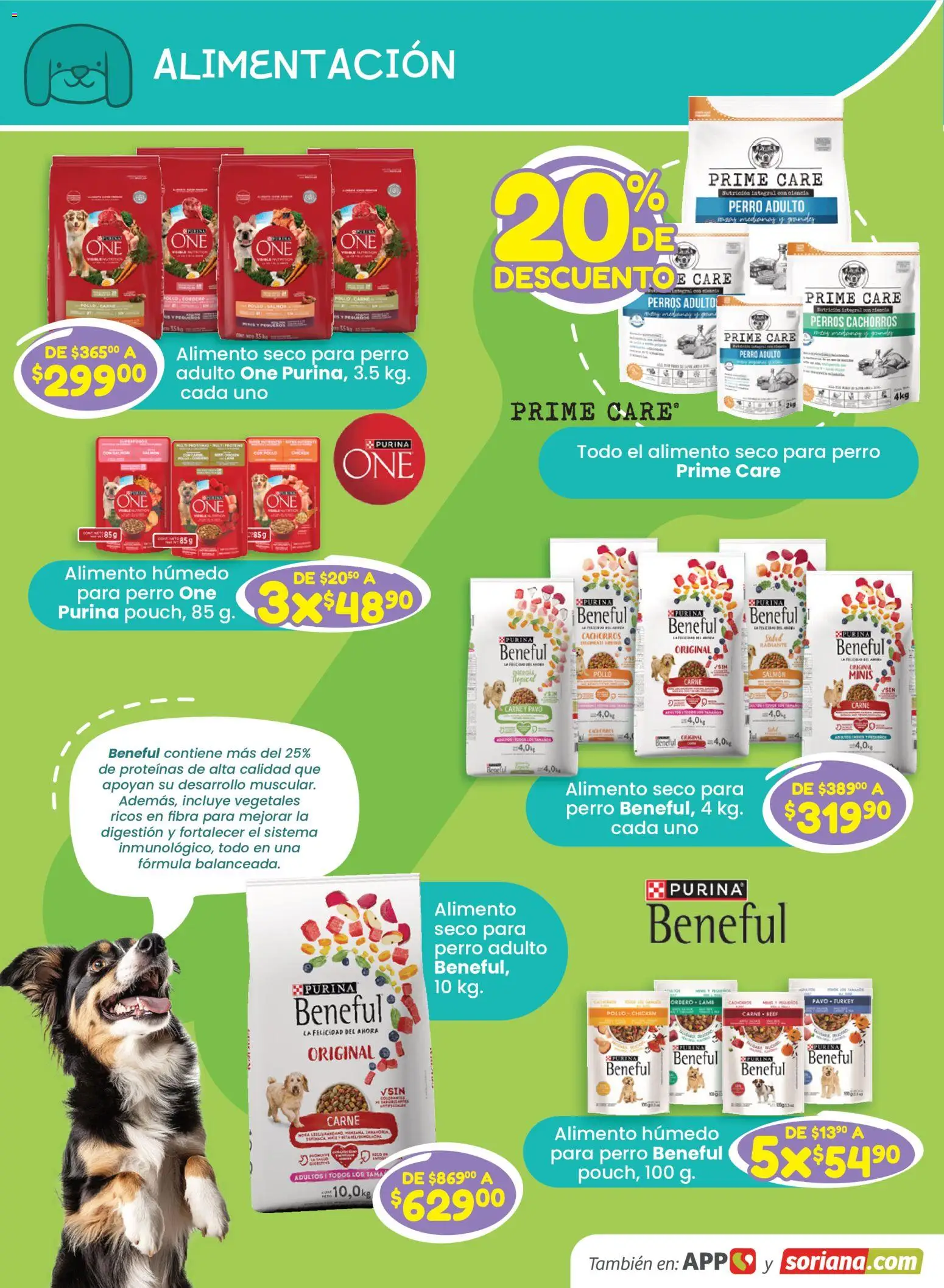 Nuevas ofertas de Soriana válidas en toda la República Mexicana desde el 13/08/2026. ¡Encuentra las mejores ofertas en Soriana Especial Mascotas Híper Nacional! | Página: 4 | Productos: Pollo, Salmón, Pavo, Carne