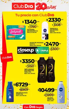 Vista previa Supermercado DIA Ofertas válido desde el 09/09/2026 | Página: 33