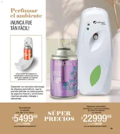 Vista previa Millanel - Catálogo válido desde el 27.04.2026 | Página: 161 | Productos: Pilas, Té