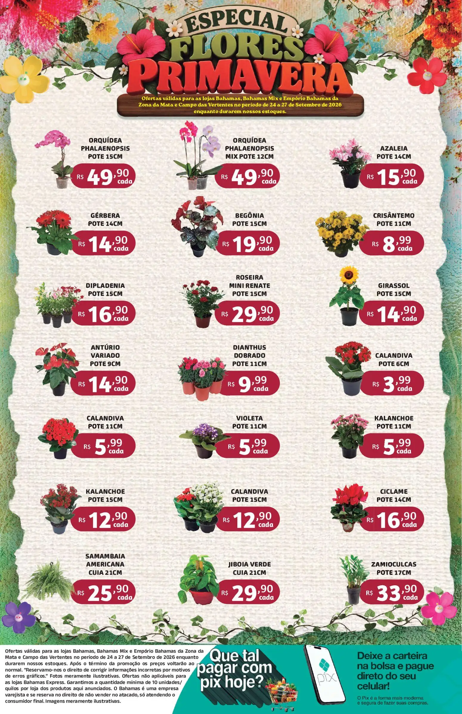 Bahamas Supermercados Folheto - válido de 24/09/2026 | Página: 1 | Produtos: Orquídea, Flores, Gerbera, Bolsa