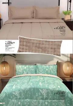 Vista previa de Andrea catálogo Outlet, nuevo folleto de la tienda, válido en México a partir del 26/07/2026 | Página: 492 | Productos: Champagne, Body