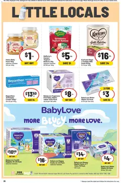 Preview of IGA catalogue - valid from 01/07/2026 | Page: 29