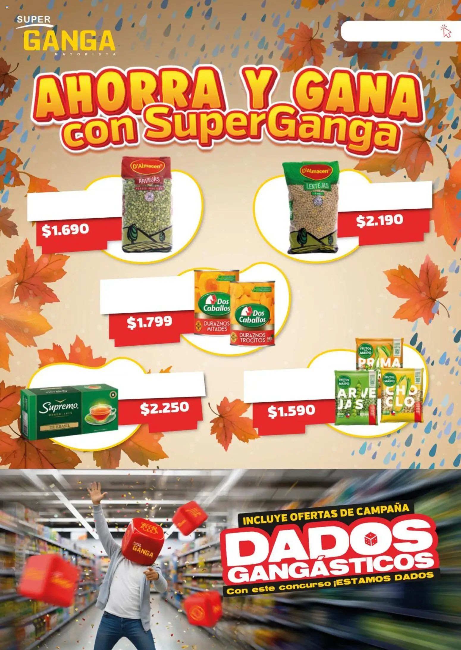 Super Ganga Ofertas  │ válido desde el 13.05.2026 | Página: 1