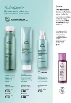 Vista previa de Natura campaña 12 2026, nuevo folleto de la tienda, válido en México a partir del 31/07/2026 | Página: 142