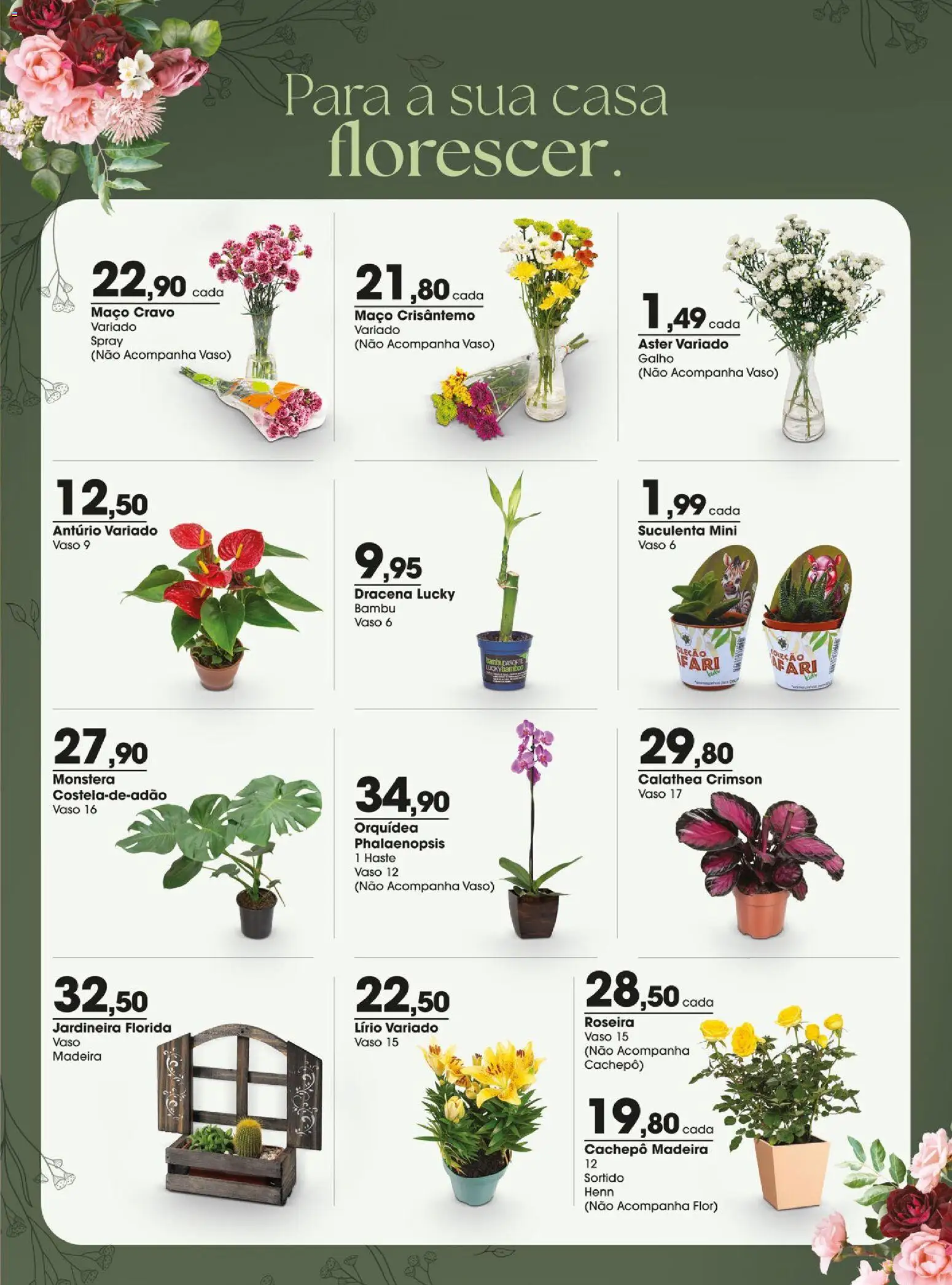 Zaffari Folheto - válido de 31/07/2026 | Página: 15 | Produtos: Vaso, Jardineira