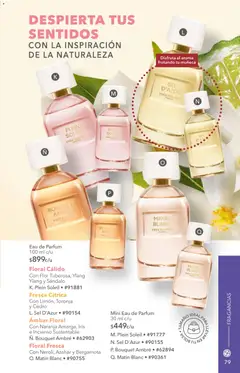 Vista previa de Yves Rocher campaña 12 2026, nuevo folleto de la tienda, válido en México a partir del 25/08/2026 | Página: 81