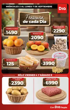 Vista previa DIENTES DE AJO SELECCIONADOS X 100 G., Bag of garlic cloves válido desde el 01/09/2026 | Página: 1 | Productos: Papa, Carne, Mani, Ajo