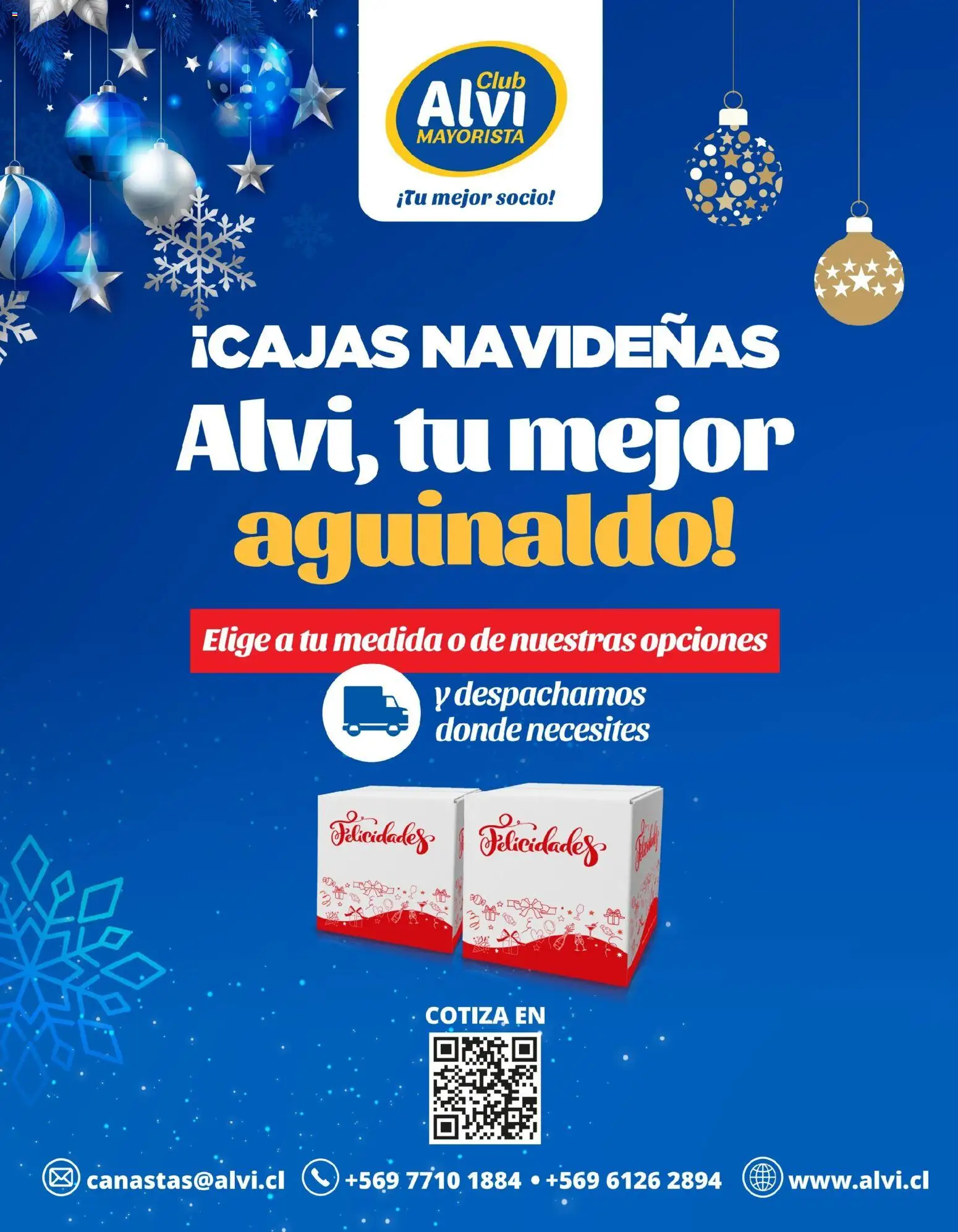 Alvi Ofertas │ válido desde el 21.10.2026 | Página: 24