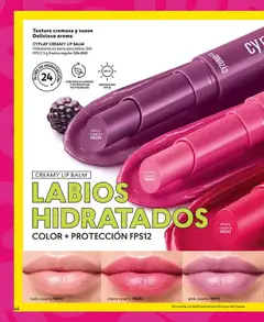 CyZone catálogo C09/2026 -  Vista previa de la revista de la tienda CyZone valido desde el 05.06.2026 | Página: 60 | Productos: Cera