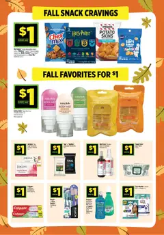 Preview of Dollar General weekly ads valid from 09/13/2026 | Page: 7