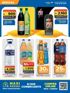 Vista previa Carrefour Maxi válido desde el 11/07/2026 | Página: 2