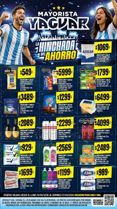 Vista previa Yaguar catálogo válido desde el 15.06.2026 | Página: 2