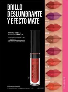 Vista previa de JAFRA catálogo Organizador de Ventas, nuevo folleto de la tienda, válido en México a partir del 01/07/2026 | Página: 117 | Productos: Esponja, Esponjas, Maquillaje