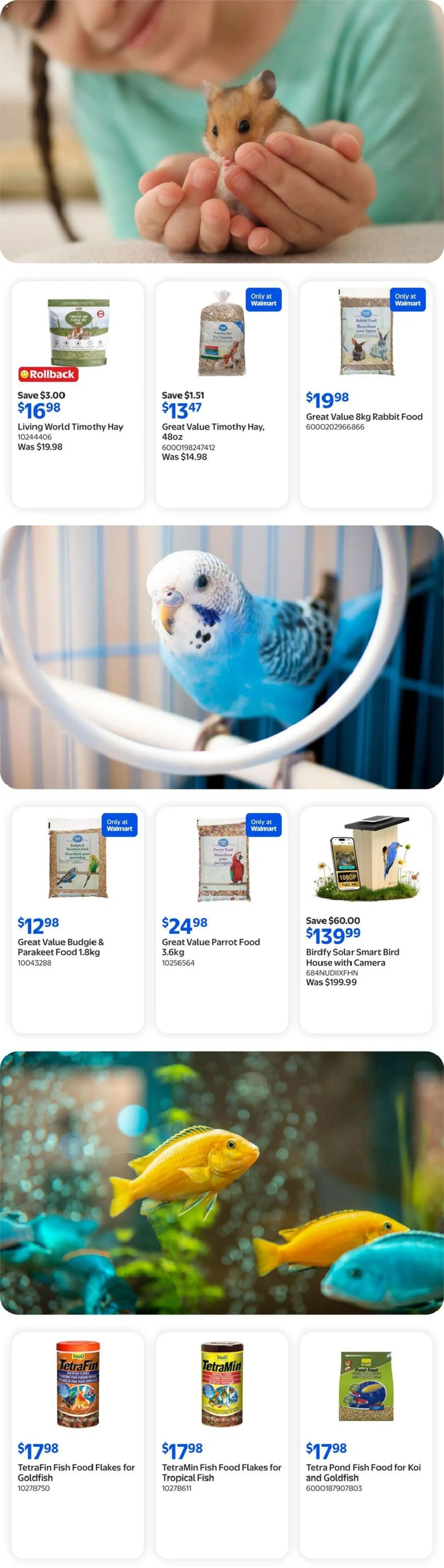Walmart flyer valid from Aug 13, 2026 | Page: 11 | Products: Fish, Flakes, Camera, Food