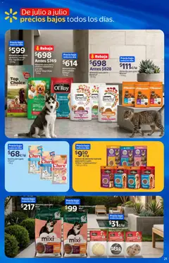 Vista previa de Walmart Express folleto, nuevo folleto de la tienda, válido en México a partir del 22/07/2026 | Página: 21